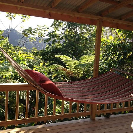 Villa Roots Jungle Retreat Marigot Exterior foto