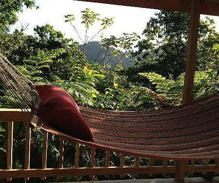 Villa Roots Jungle Retreat Marigot Exterior foto