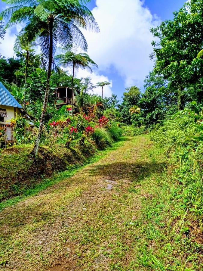 Villa Roots Jungle Retreat Marigot Exterior foto