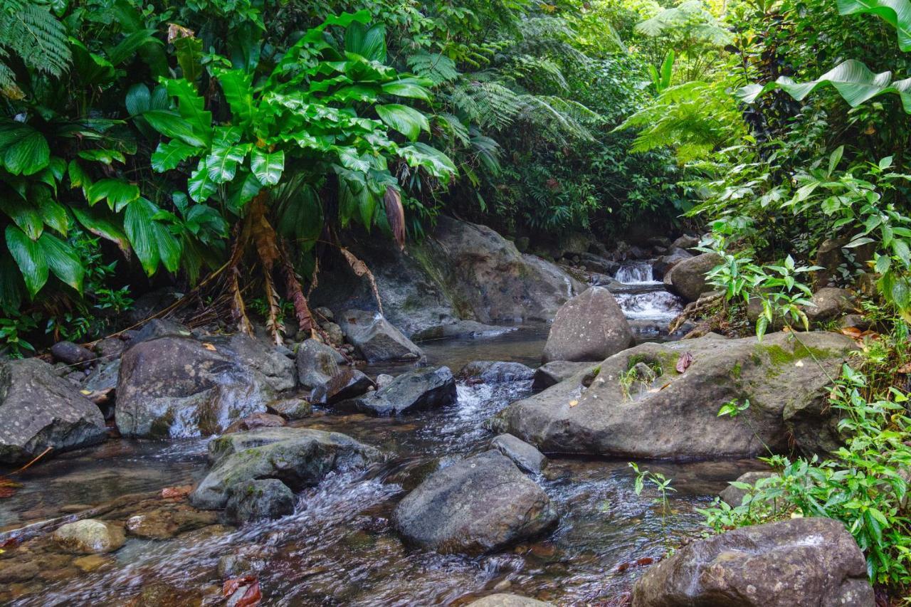 Villa Roots Jungle Retreat Marigot Exterior foto