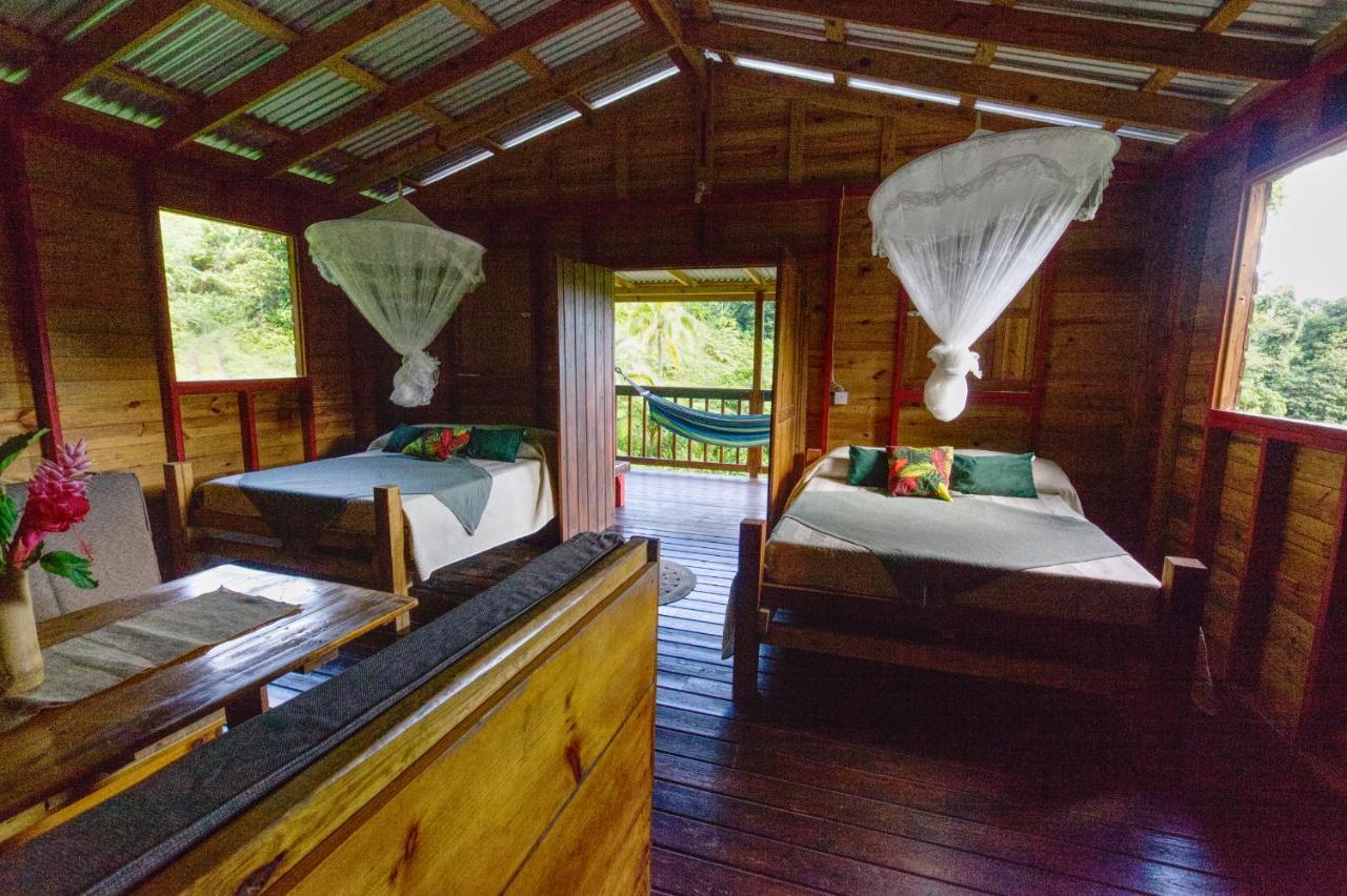 Villa Roots Jungle Retreat Marigot Exterior foto