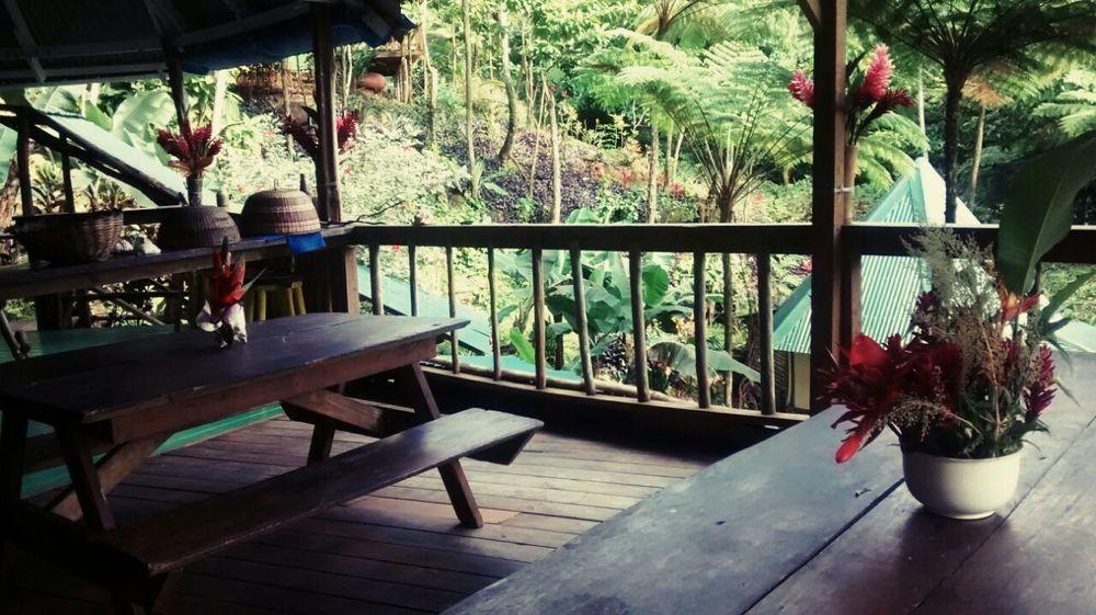 Villa Roots Jungle Retreat Marigot Exterior foto