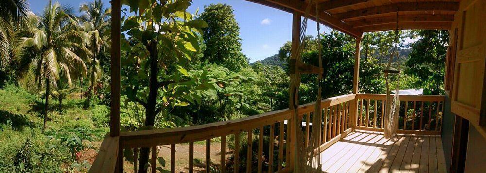 Villa Roots Jungle Retreat Marigot Exterior foto