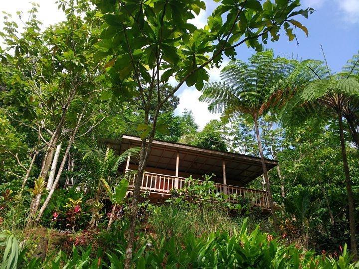 Villa Roots Jungle Retreat Marigot Exterior foto