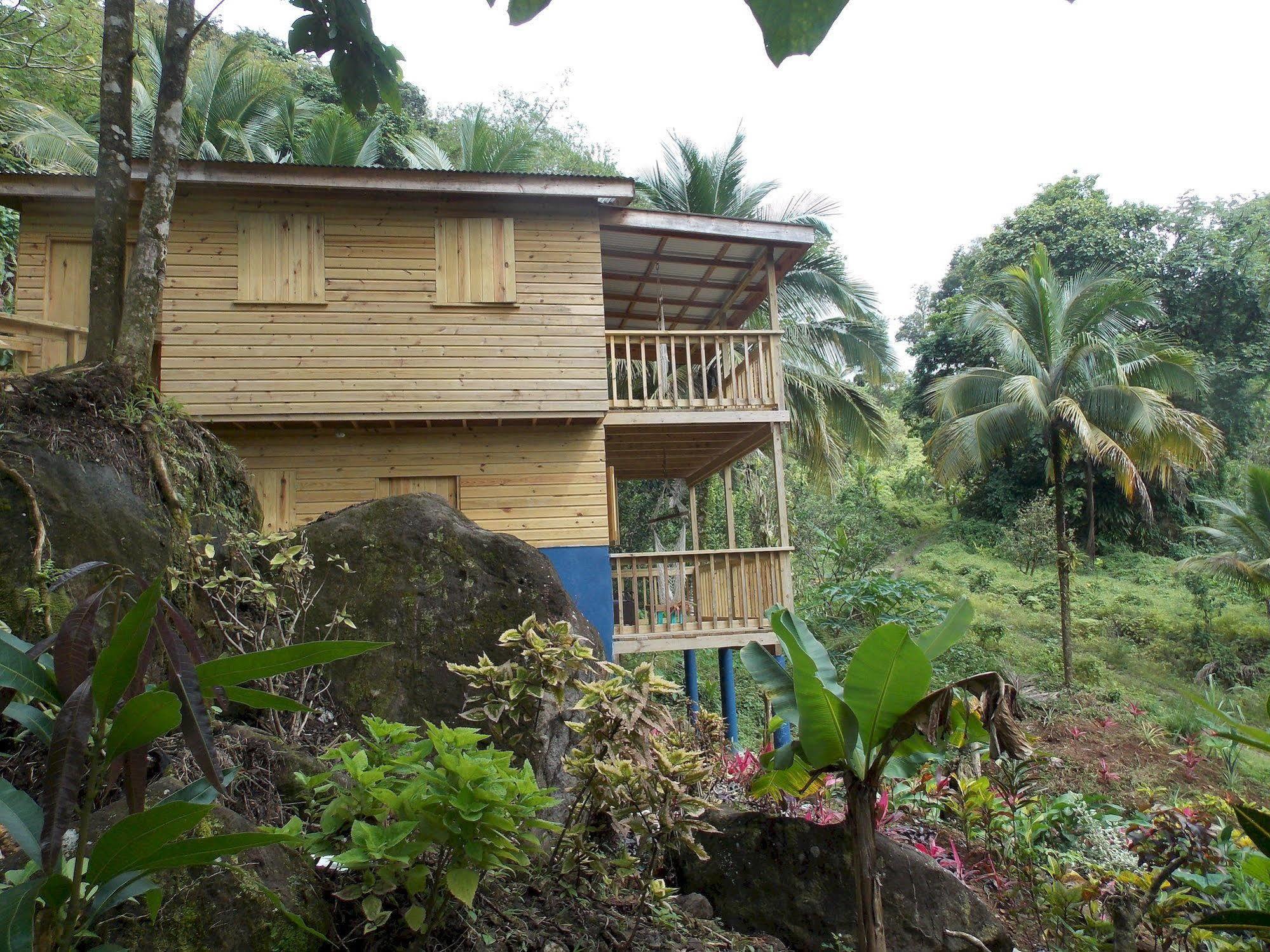 Villa Roots Jungle Retreat Marigot Exterior foto