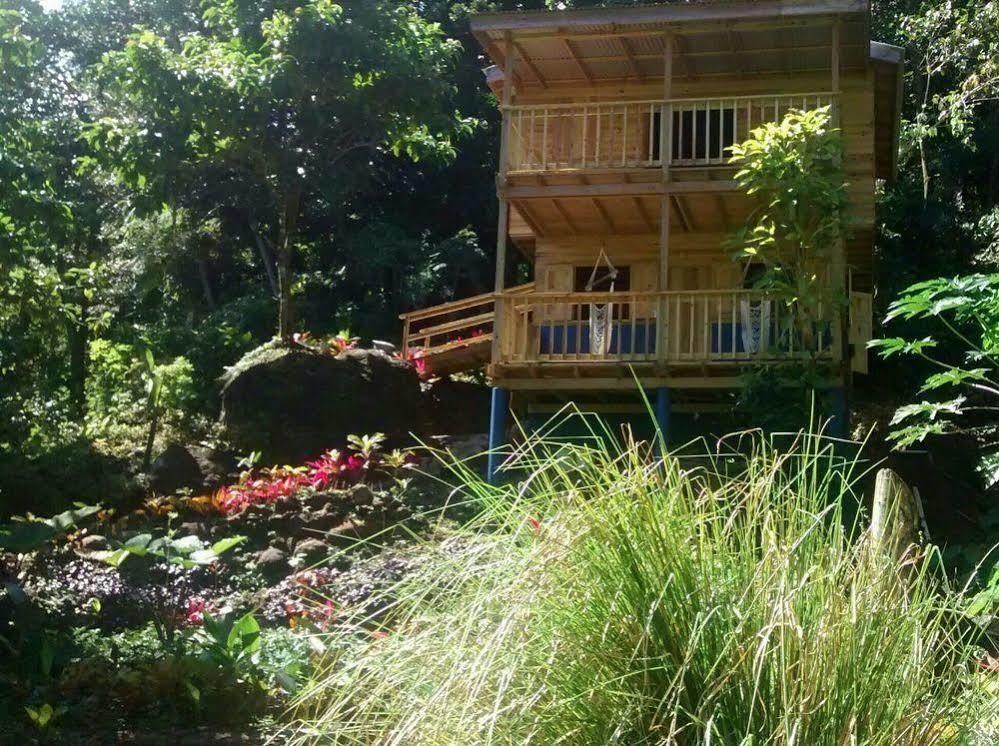 Villa Roots Jungle Retreat Marigot Exterior foto